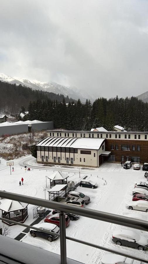 Coca Mountain View * Sinaia