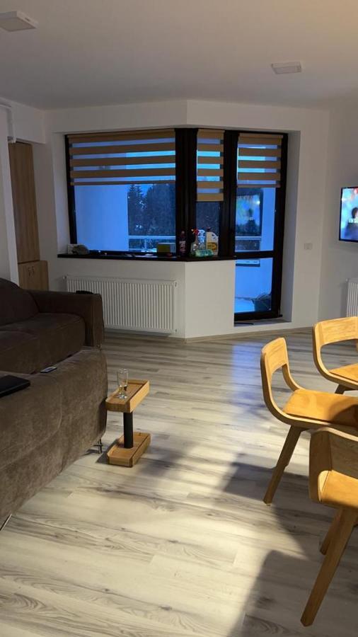 Coca Mountain View Apartment Sinaia