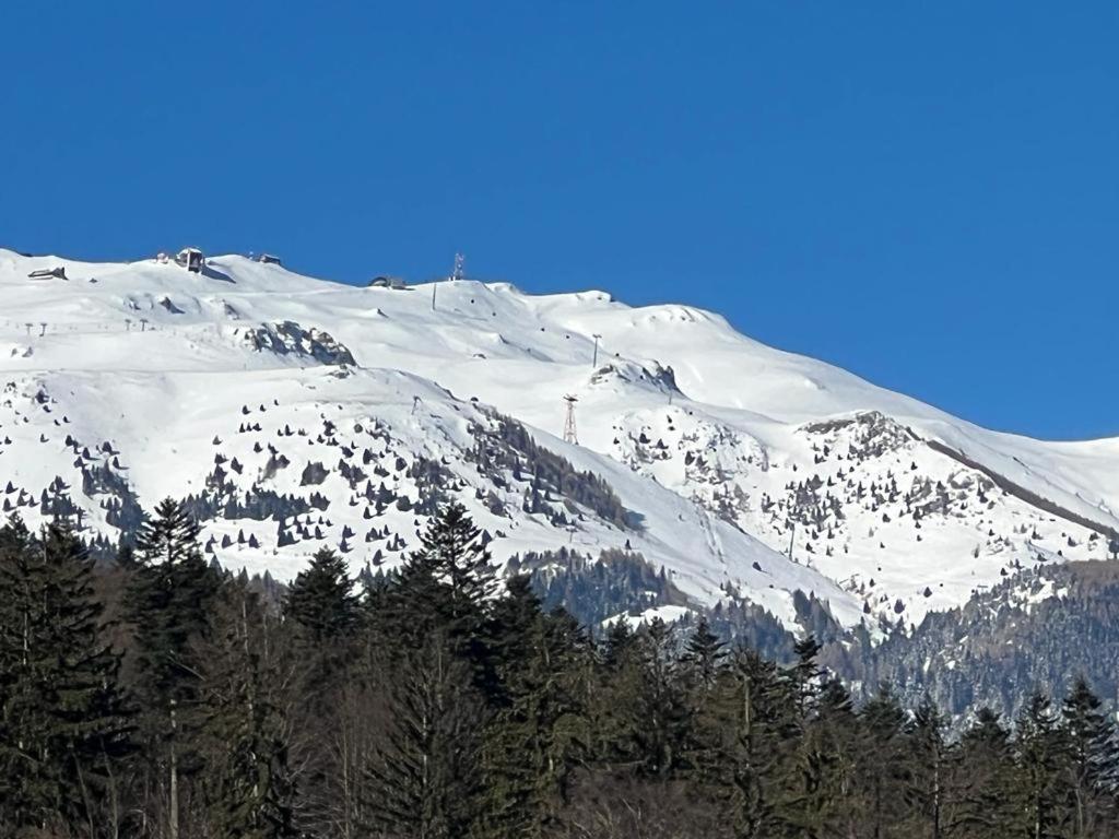 Coca Mountain View