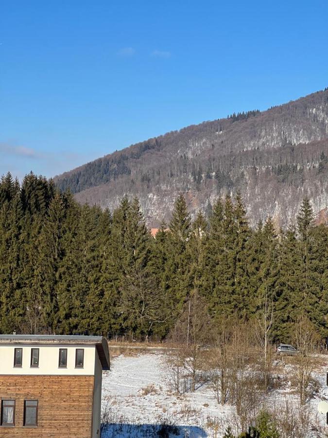 Coca Mountain View *