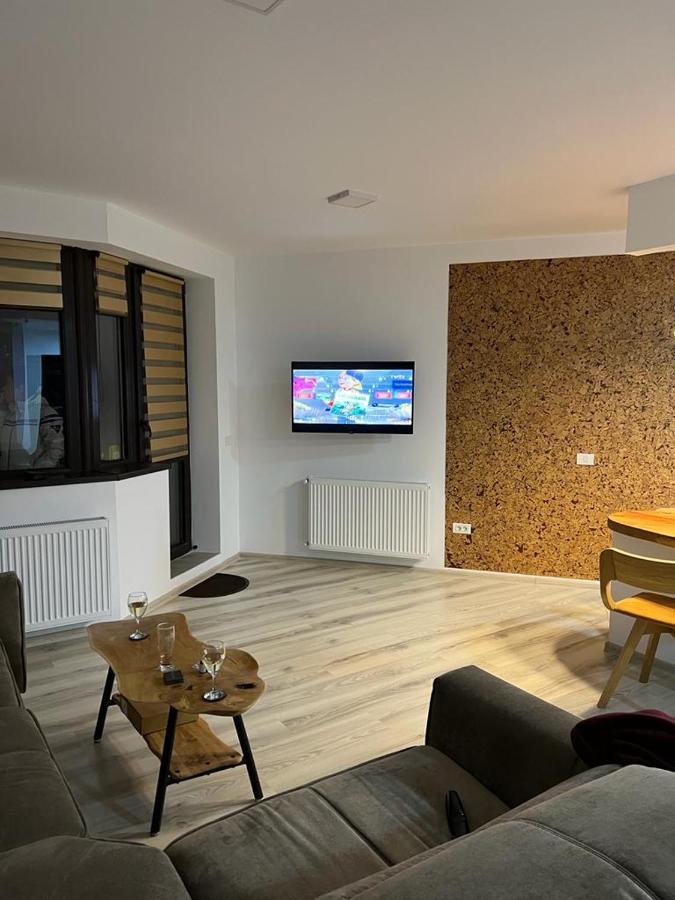 Apartment Coca Mountain View Sinaia